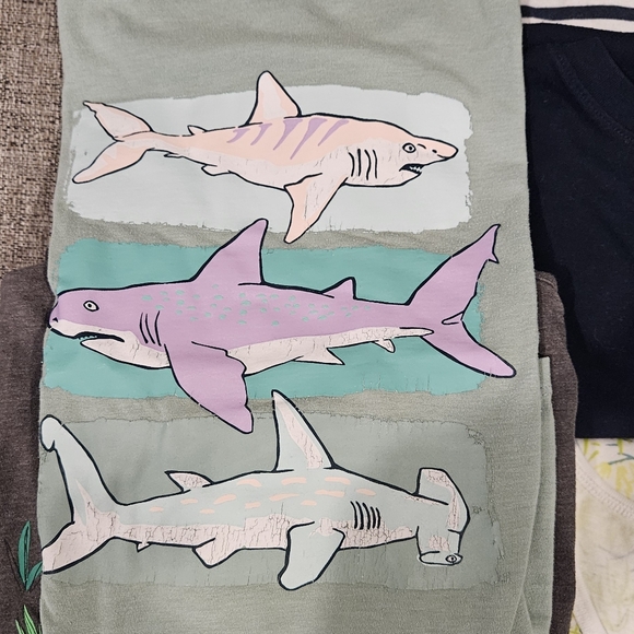 Medium Boys Tees and Tanks Bundle (10) - Picture 6 of 6